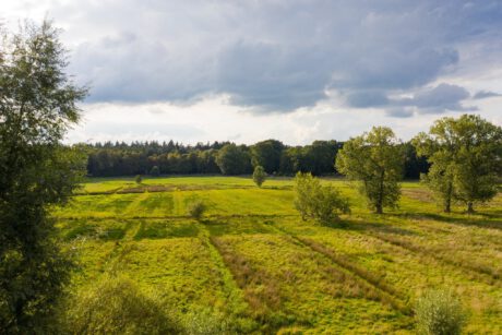 Onder de Bomen 20, Renkum