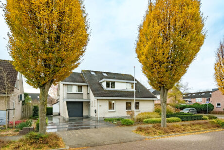 Planetenlaan 22, Herveld