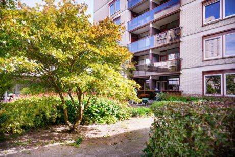 House slide